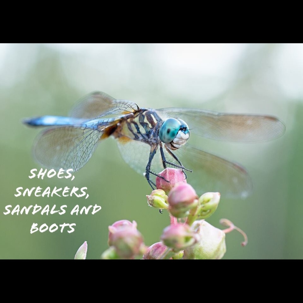 Shoes: Sneakers, Sandals and Boots